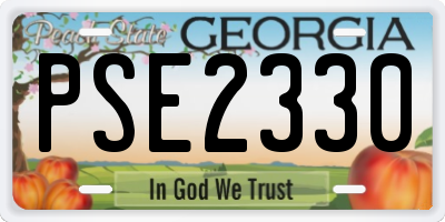 GA license plate PSE2330
