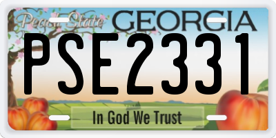 GA license plate PSE2331