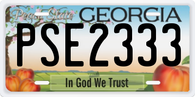 GA license plate PSE2333