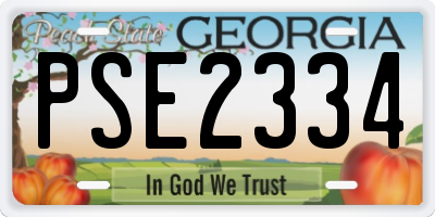 GA license plate PSE2334