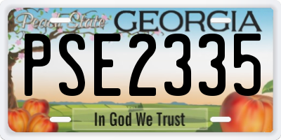 GA license plate PSE2335