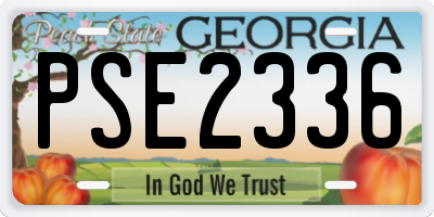 GA license plate PSE2336
