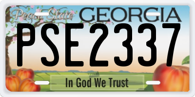 GA license plate PSE2337