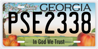 GA license plate PSE2338