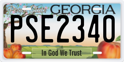 GA license plate PSE2340