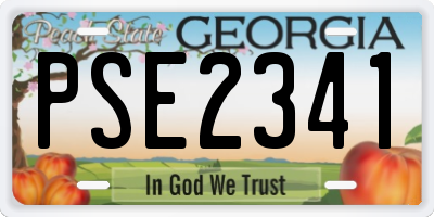 GA license plate PSE2341