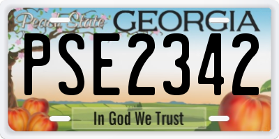 GA license plate PSE2342