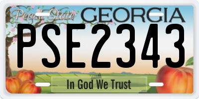 GA license plate PSE2343