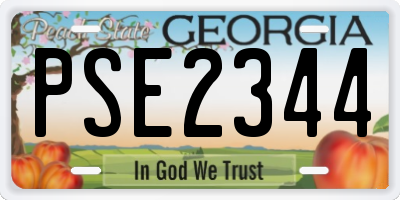 GA license plate PSE2344