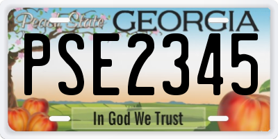 GA license plate PSE2345