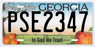 GA license plate PSE2347