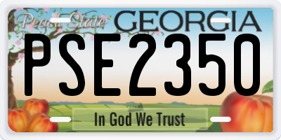 GA license plate PSE2350