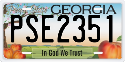 GA license plate PSE2351