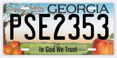 GA license plate PSE2353