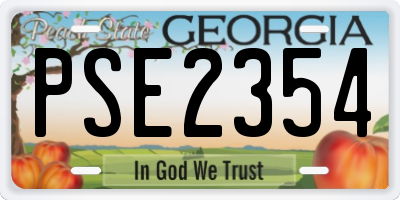 GA license plate PSE2354