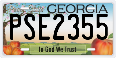 GA license plate PSE2355