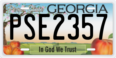 GA license plate PSE2357