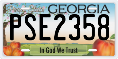 GA license plate PSE2358