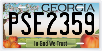 GA license plate PSE2359