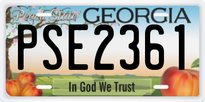 GA license plate PSE2361