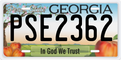 GA license plate PSE2362