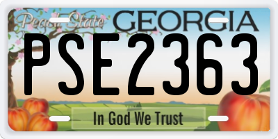 GA license plate PSE2363