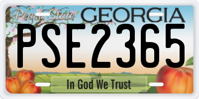 GA license plate PSE2365