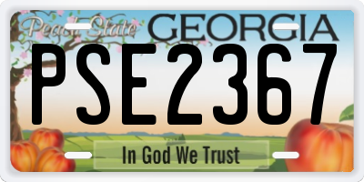 GA license plate PSE2367