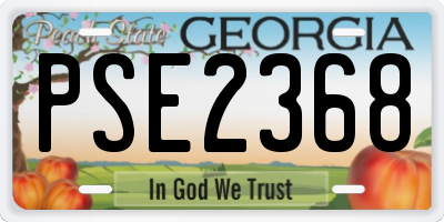 GA license plate PSE2368