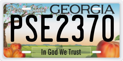 GA license plate PSE2370