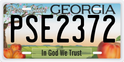GA license plate PSE2372