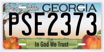 GA license plate PSE2373