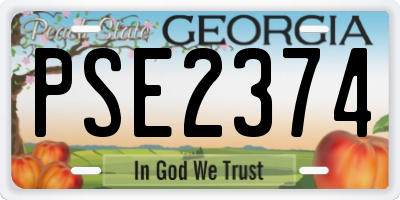GA license plate PSE2374