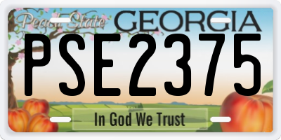 GA license plate PSE2375
