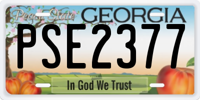 GA license plate PSE2377