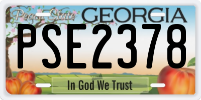GA license plate PSE2378