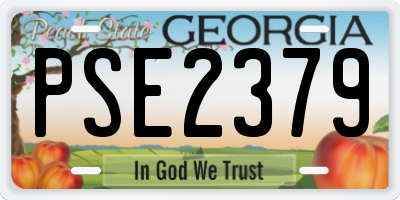 GA license plate PSE2379