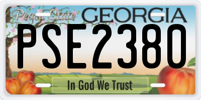 GA license plate PSE2380