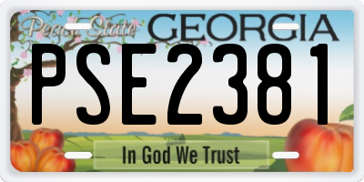 GA license plate PSE2381