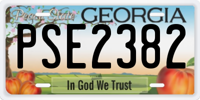 GA license plate PSE2382