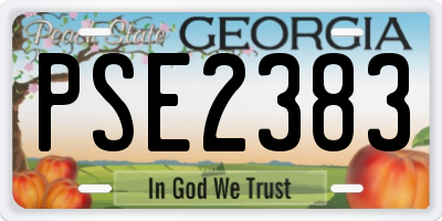 GA license plate PSE2383
