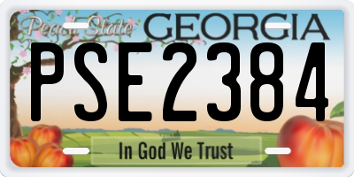 GA license plate PSE2384