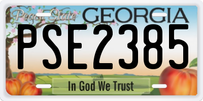 GA license plate PSE2385