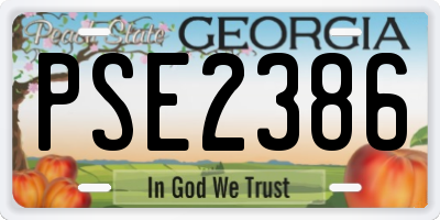GA license plate PSE2386