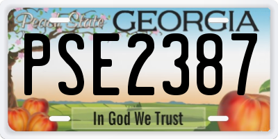 GA license plate PSE2387