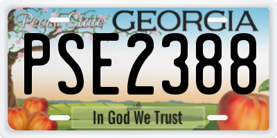GA license plate PSE2388