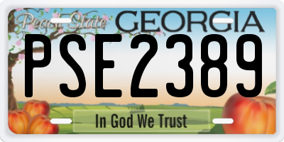 GA license plate PSE2389