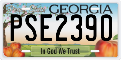 GA license plate PSE2390