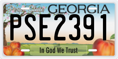 GA license plate PSE2391