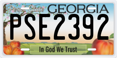 GA license plate PSE2392